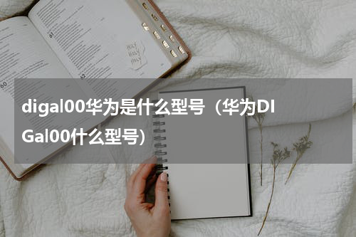 digal00华为是什么型号（华为DIGal00什么型号）