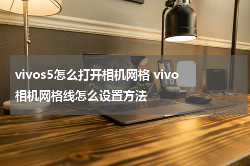 vivos5怎么打开相机网格 vivo相机网格线怎么设置方法