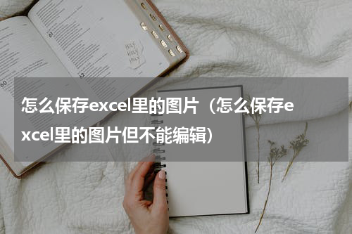 怎么保存excel里的图片（怎么保存excel里的图片但不能编辑）