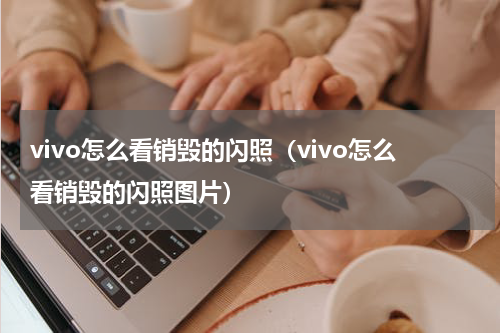 vivo怎么看销毁的闪照（vivo怎么看销毁的闪照图片）