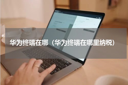 华为终端在哪（华为终端在哪里纳税）