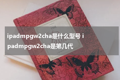 ipadmpgw2cha是什么型号 ipadmpgw2cha是第几代