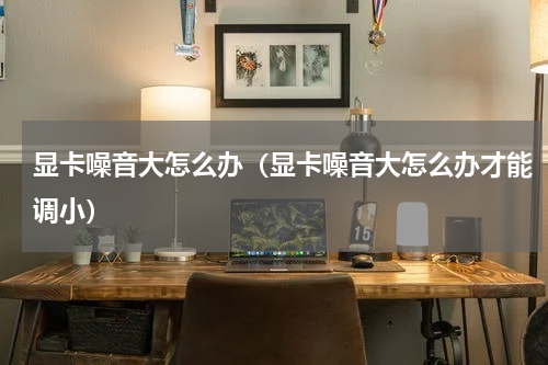 显卡噪音大怎么办（显卡噪音大怎么办才能调小）