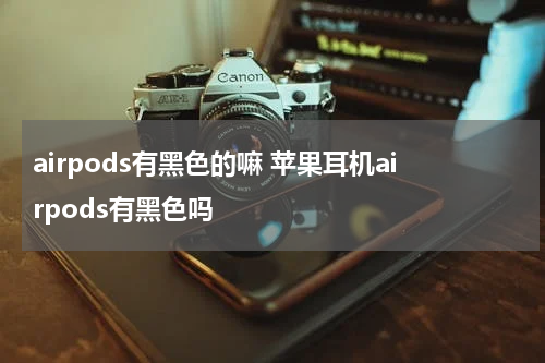 airpods有黑色的嘛 苹果耳机airpods有黑色吗