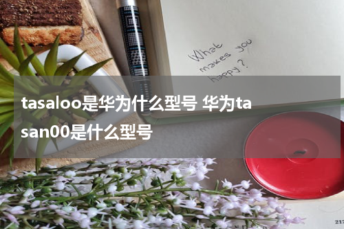 tasaloo是华为什么型号 华为tasan00是什么型号