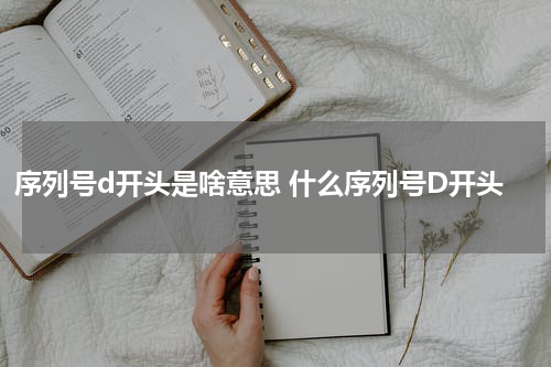 序列号d开头是啥意思 什么序列号D开头