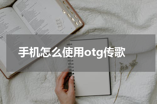手机怎么使用otg传歌