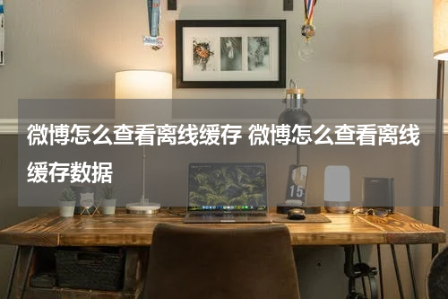 微博怎么查看离线缓存 微博怎么查看离线缓存数据