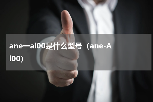 ane一al00是什么型号（ane-Al00）