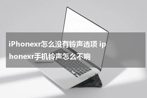 iPhonexr怎么没有铃声选项 iphonexr手机铃声怎么不响