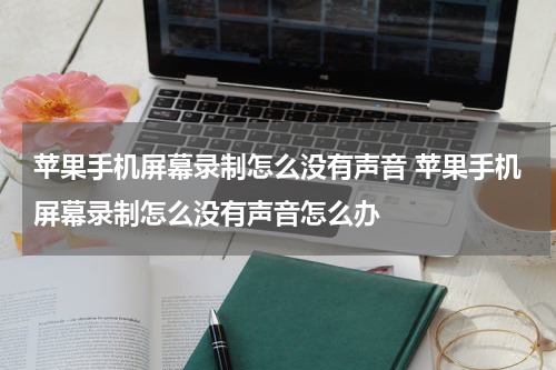 苹果手机屏幕录制怎么没有声音 苹果手机屏幕录制怎么没有声音怎么办