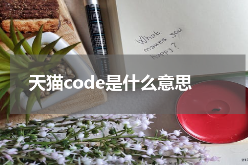 天猫code是什么意思