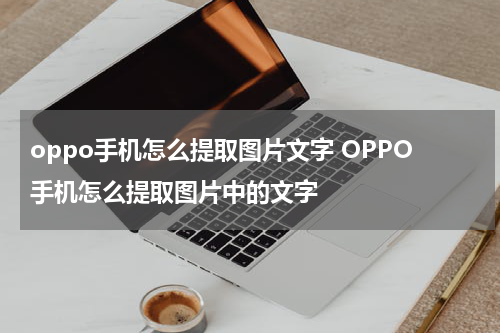 oppo手机怎么提取图片文字 OPPO手机怎么提取图片中的文字