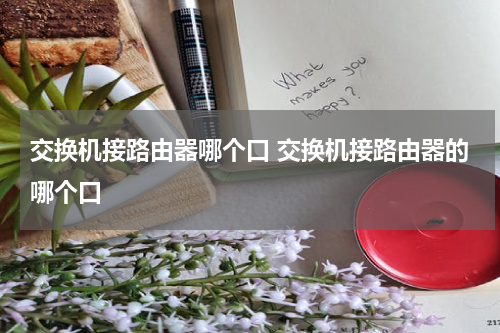交换机接路由器哪个口 交换机接路由器的哪个口