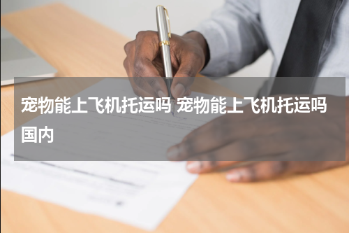 宠物能上飞机托运吗 宠物能上飞机托运吗国内