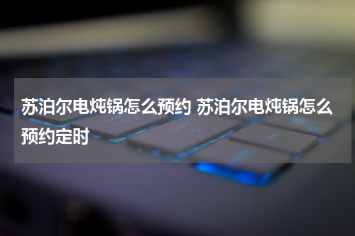 苏泊尔电炖锅怎么预约 苏泊尔电炖锅怎么预约定时