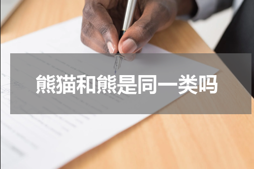 熊猫和熊是同一类吗