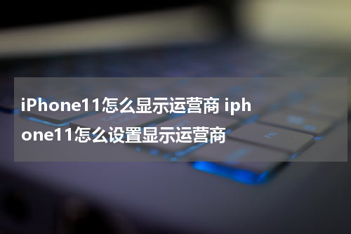iPhone11怎么显示运营商 iphone11怎么设置显示运营商