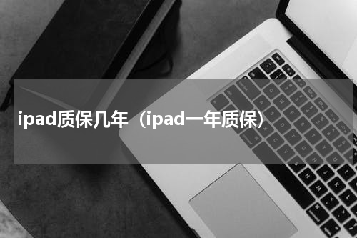 ipad质保几年（ipad一年质保）