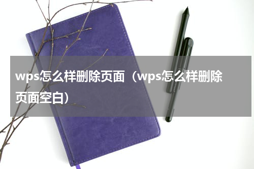 wps怎么样删除页面（wps怎么样删除页面空白）