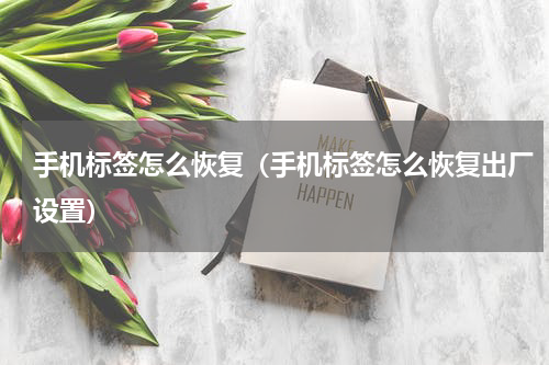 手机标签怎么恢复（手机标签怎么恢复出厂设置）