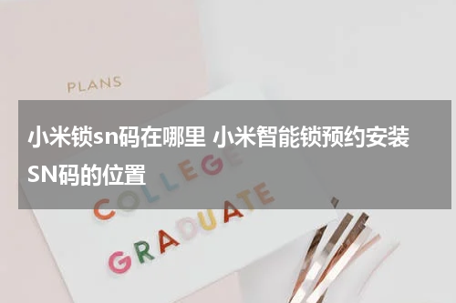 小米锁sn码在哪里 小米智能锁预约安装SN码的位置