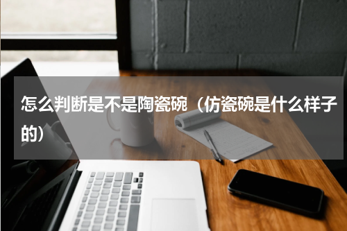 怎么判断是不是陶瓷碗（仿瓷碗是什么样子的）
