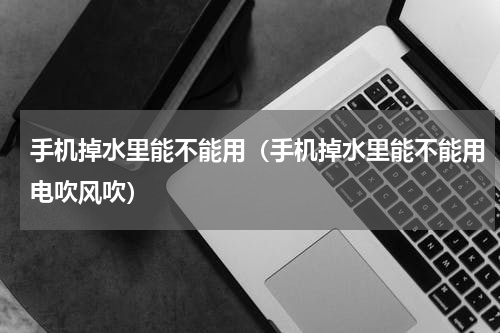 手机掉水里能不能用（手机掉水里能不能用电吹风吹）