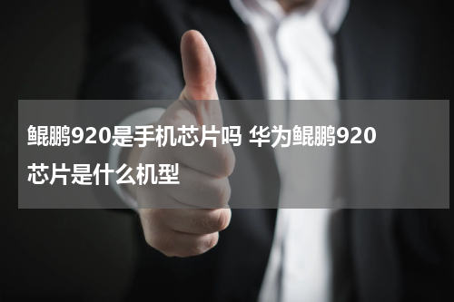 鲲鹏920是手机芯片吗 华为鲲鹏920芯片是什么机型