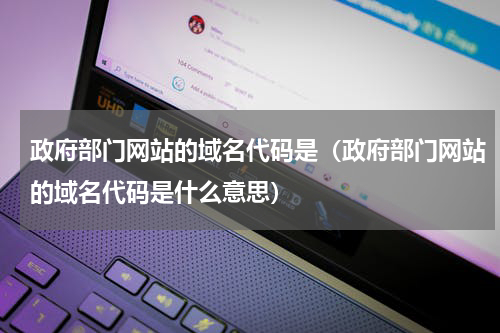 政府部门网站的域名代码是（政府部门网站的域名代码是什么意思）