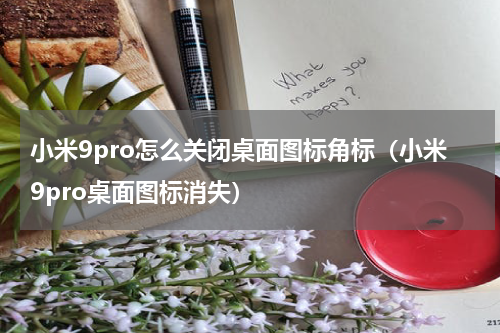 小米9pro怎么关闭桌面图标角标（小米9pro桌面图标消失）