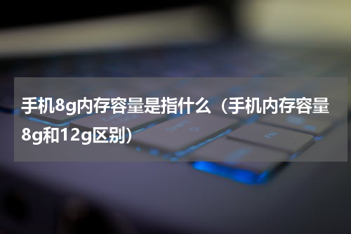 手机8g内存容量是指什么（手机内存容量8g和12g区别）