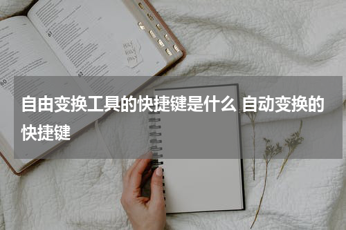 自由变换工具的快捷键是什么 自动变换的快捷键