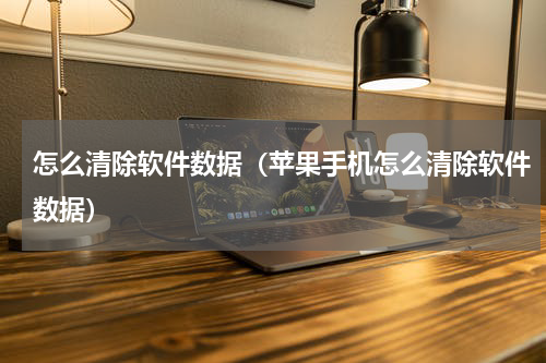 怎么清除软件数据（苹果手机怎么清除软件数据）
