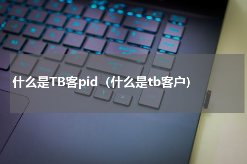 什么是TB客pid（什么是tb客户）