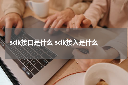 sdk接口是什么 sdk接入是什么