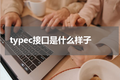 typec接口是什么样子