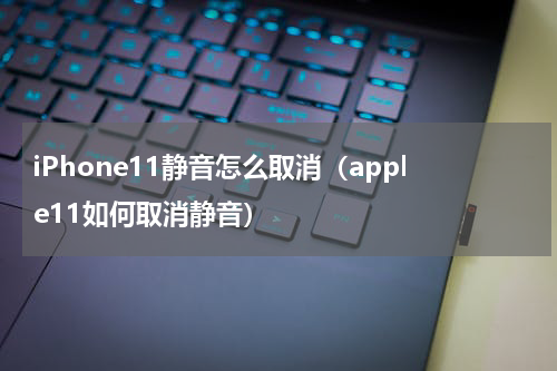 iPhone11静音怎么取消（apple11如何取消静音）