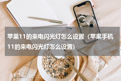 苹果11的来电闪光灯怎么设置（苹果手机11的来电闪光灯怎么设置）