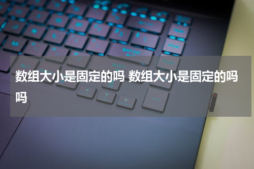 数组大小是固定的吗 数组大小是固定的吗吗
