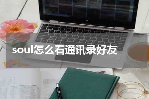 soul怎么看通讯录好友