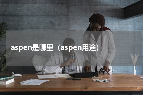aspen是哪里（aspen用途）