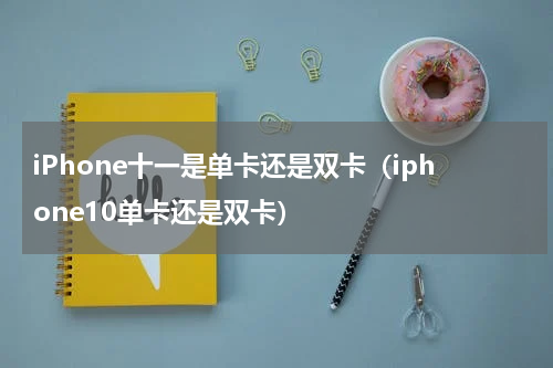 iPhone十一是单卡还是双卡（iphone10单卡还是双卡）