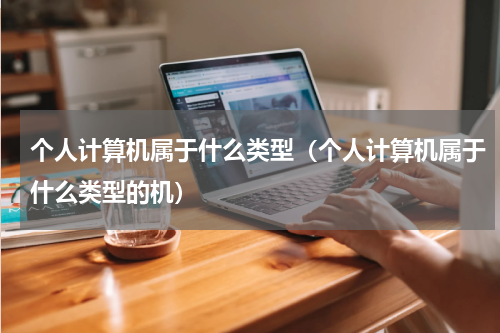 个人计算机属于什么类型（个人计算机属于什么类型的机）