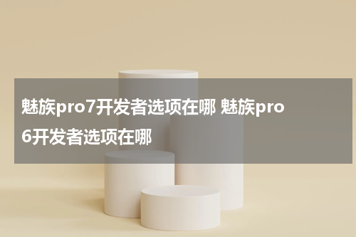 魅族pro7开发者选项在哪 魅族pro6开发者选项在哪
