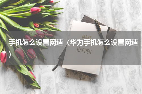 手机怎么设置网速（华为手机怎么设置网速）