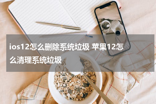 ios12怎么删除系统垃圾 苹果12怎么清理系统垃圾