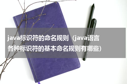 java标识符的命名规则（java语言各种标识符的基本命名规则有哪些）