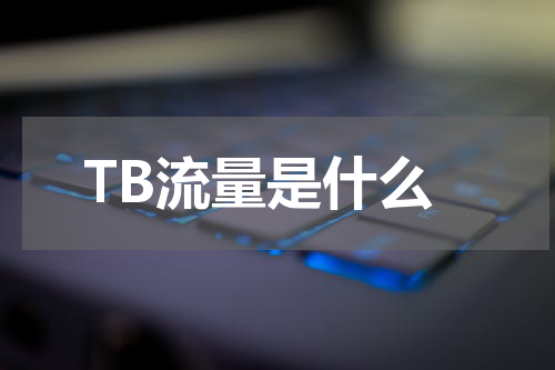 TB流量是什么