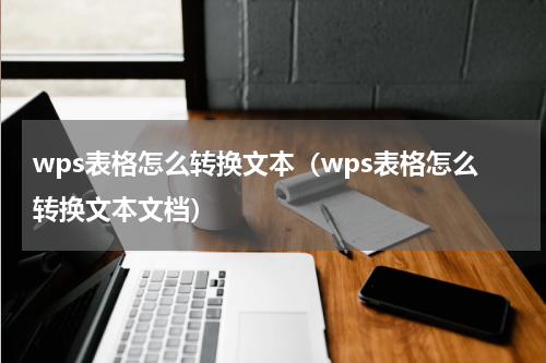 wps表格怎么转换文本（wps表格怎么转换文本文档）